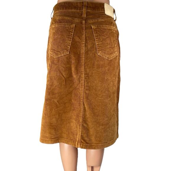 Everlane Acorn Brown Corduroy Velvet Velour Button-Front Midi A-line Skirt Sz 26 - Picture 3 of 5